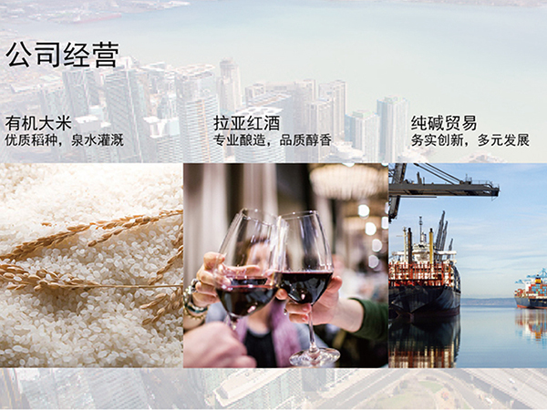 湖北供銷銀豐農業科技股份有限公司