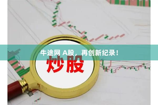 牛途网 A股，再创新纪录！