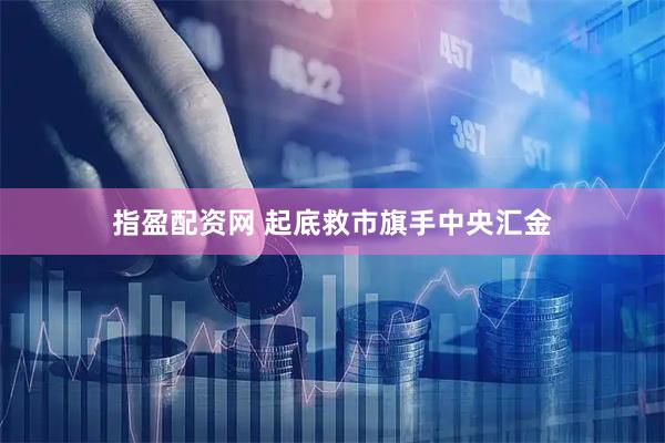 指盈配资网 起底救市旗手中央汇金