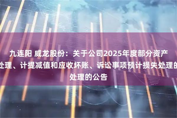 九连阳 威龙股份：关于公司2025年度部分资产报废处理、计提减值和应收坏账、诉讼事项预计损失处理的公告